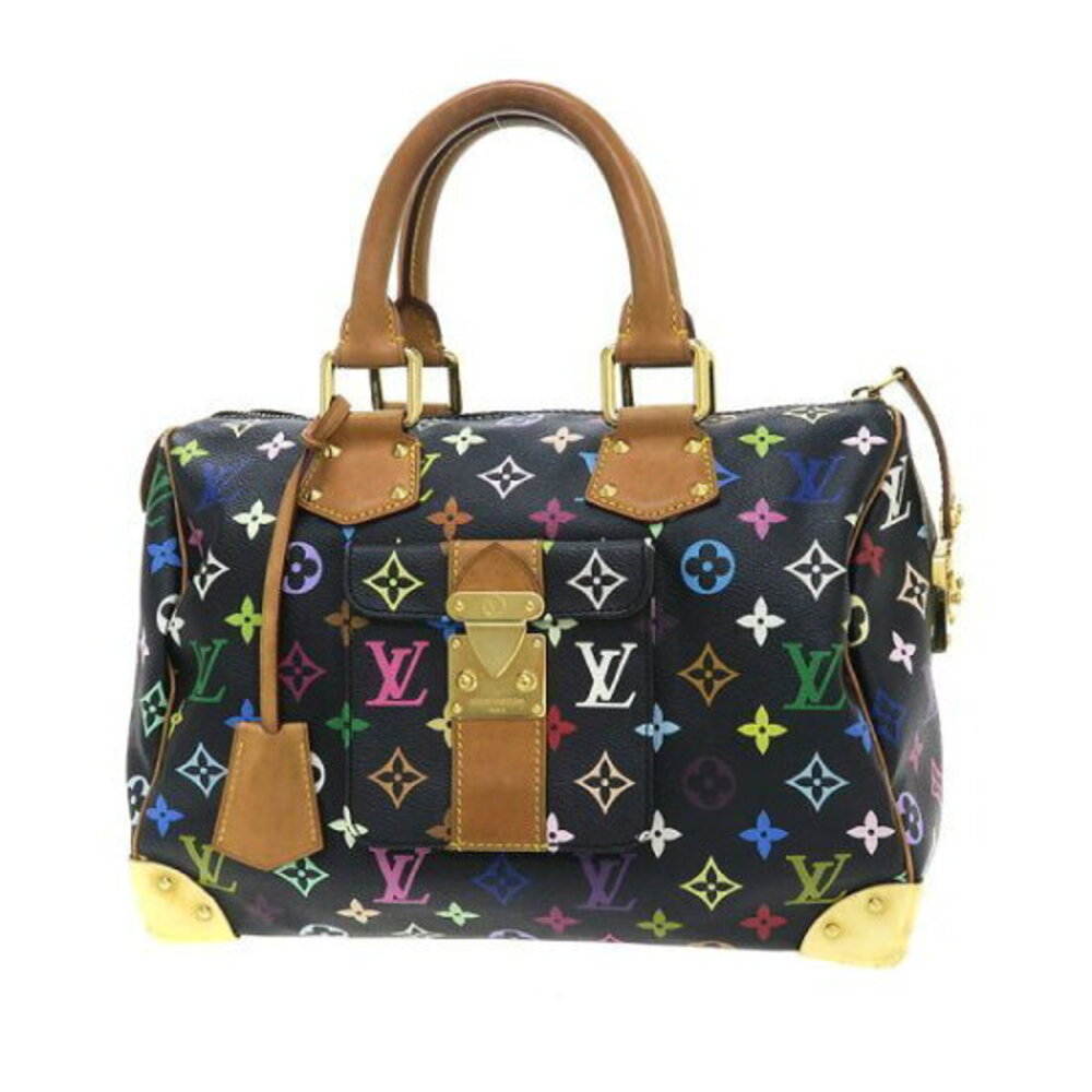Louis Vuitton Multicolor Speedy